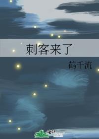 刺客来了主播资料